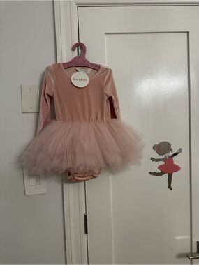 Iloveplum velvet Pink Tulle Ballet Tutu Dress